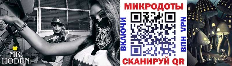 Галлюциногенные грибы Psilocybe  Тюкалинск 